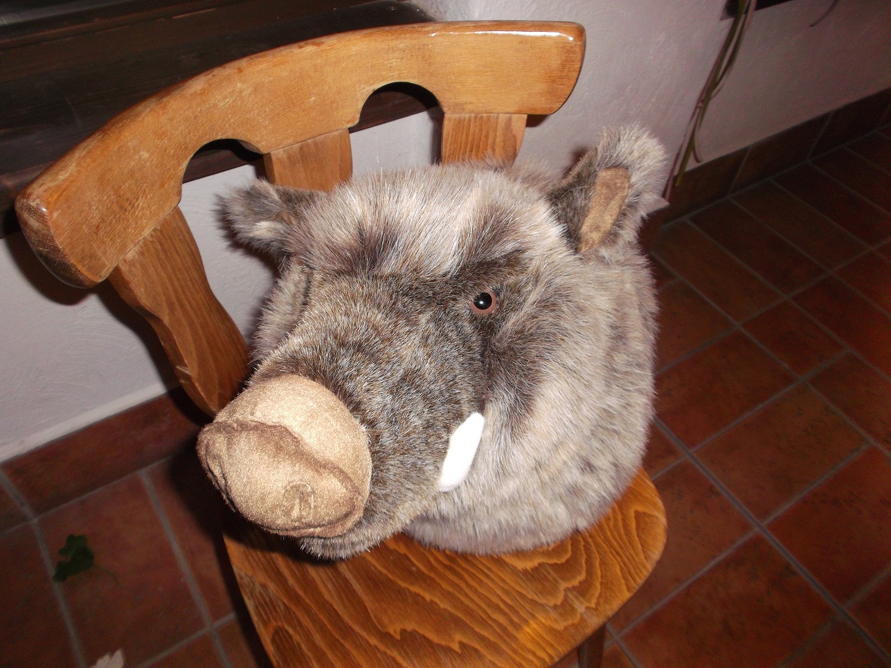 wo